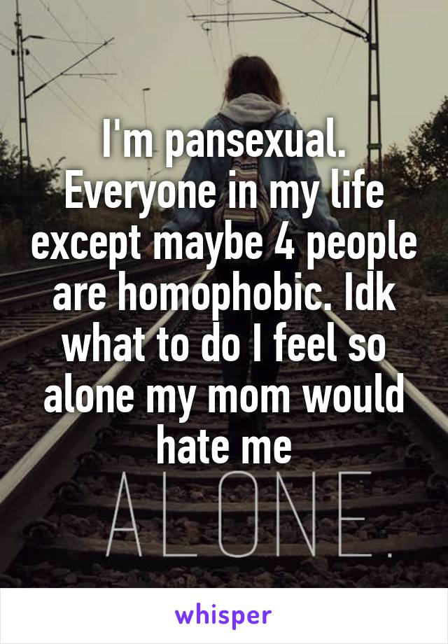 I'm pansexual. Everyone in my life except maybe 4 people are homophobic. Idk what to do I feel so alone my mom would hate me
