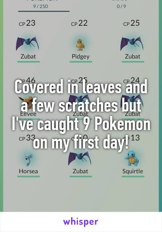 Covered in leaves and a few scratches but I've caught 9 Pokemon on my first day!