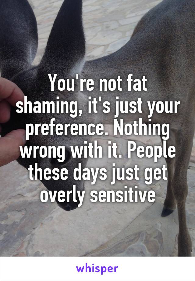 You're not fat shaming, it's just your preference. Nothing wrong with it. People these days just get overly sensitive