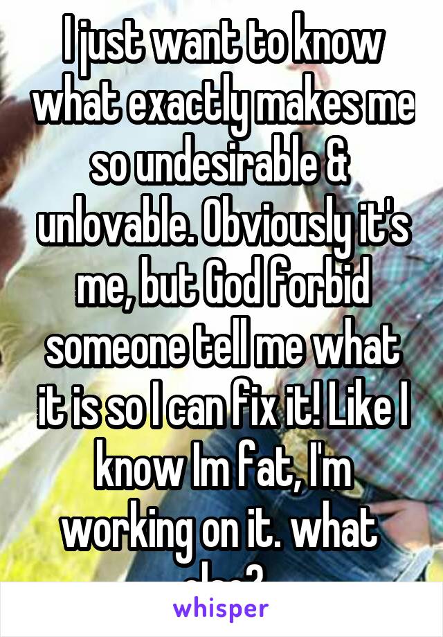 I just want to know what exactly makes me so undesirable &  unlovable. Obviously it's me, but God forbid someone tell me what it is so I can fix it! Like I know Im fat, I'm working on it. what  else?