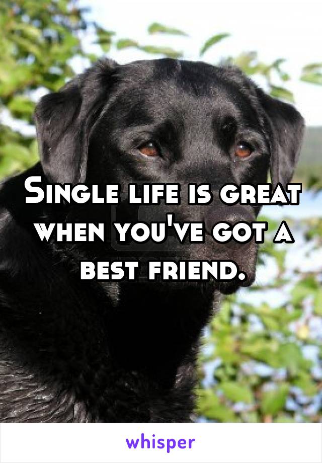 Single life is great when you've got a best friend.