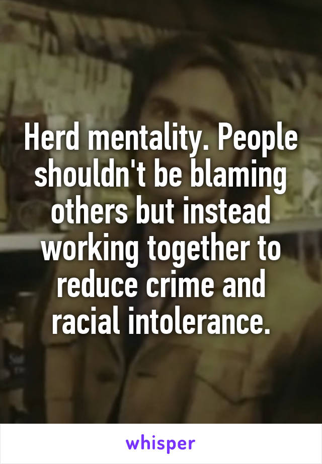 Herd mentality. People shouldn't be blaming others but instead working together to reduce crime and racial intolerance.