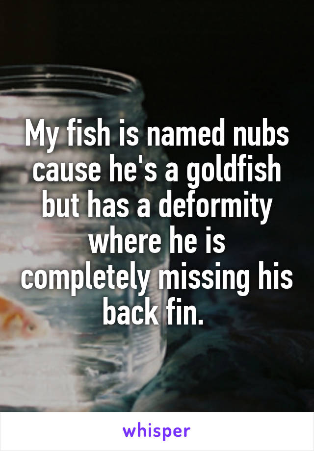 My fish is named nubs cause he's a goldfish but has a deformity where he is completely missing his back fin. 