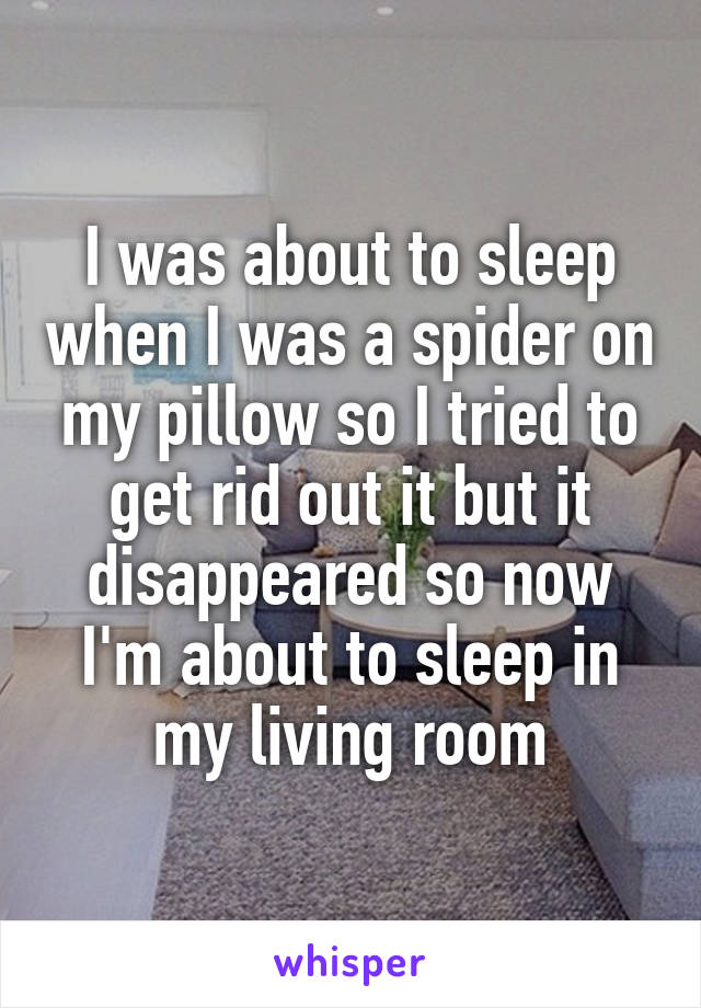 I was about to sleep when I was a spider on my pillow so I tried to get rid out it but it disappeared so now I'm about to sleep in my living room