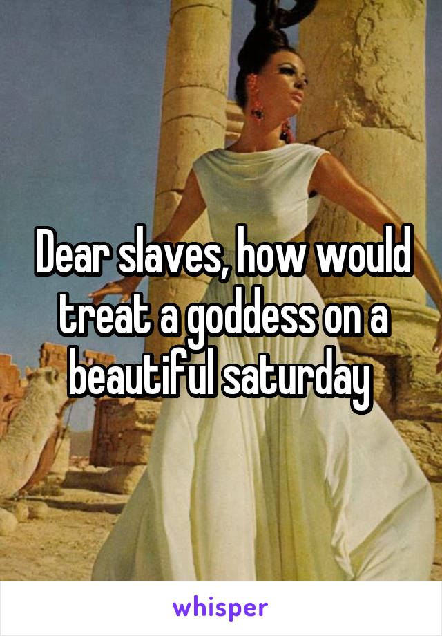 Dear slaves, how would treat a goddess on a beautiful saturday 