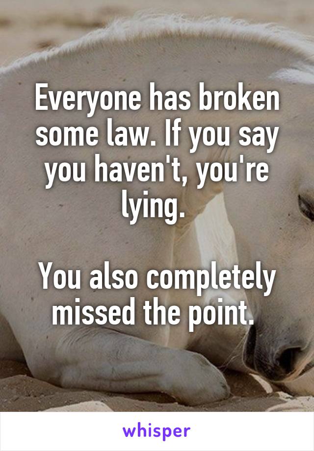 Everyone has broken some law. If you say you haven't, you're lying. 

You also completely missed the point. 
