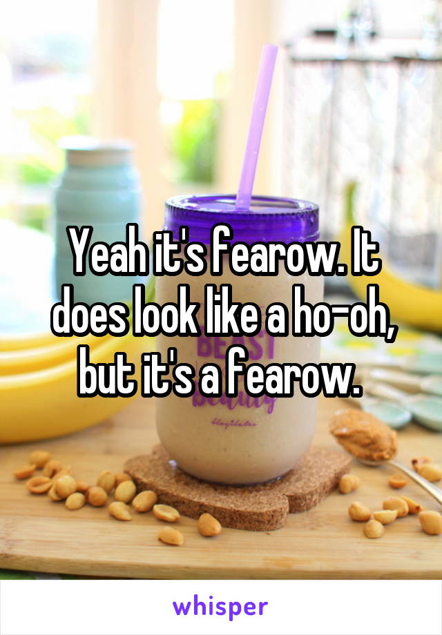 Yeah it's fearow. It does look like a ho-oh, but it's a fearow. 