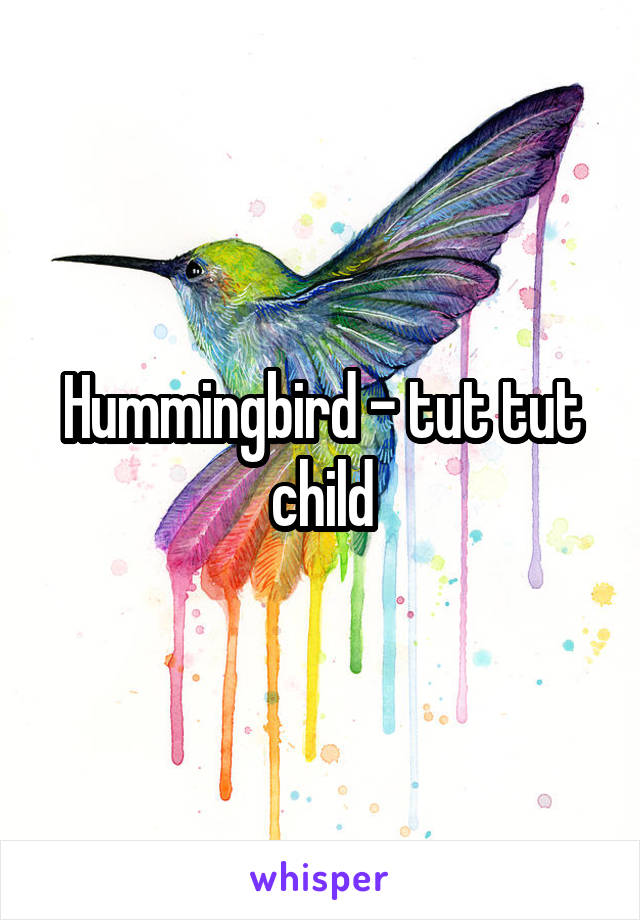Hummingbird - tut tut child