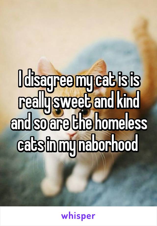 I disagree my cat is is really sweet and kind and so are the homeless cats in my naborhood 