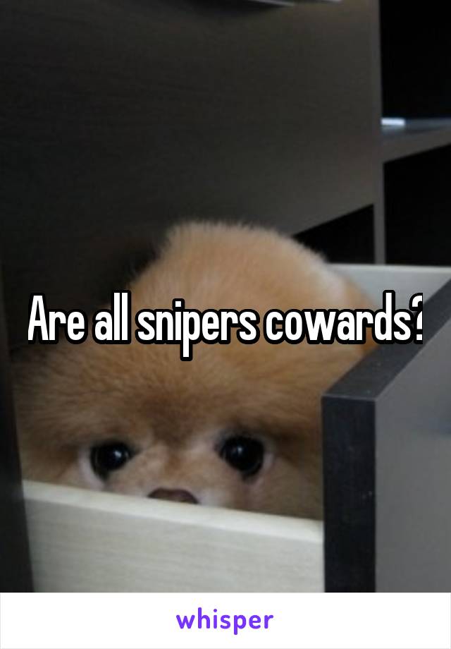 Are all snipers cowards?