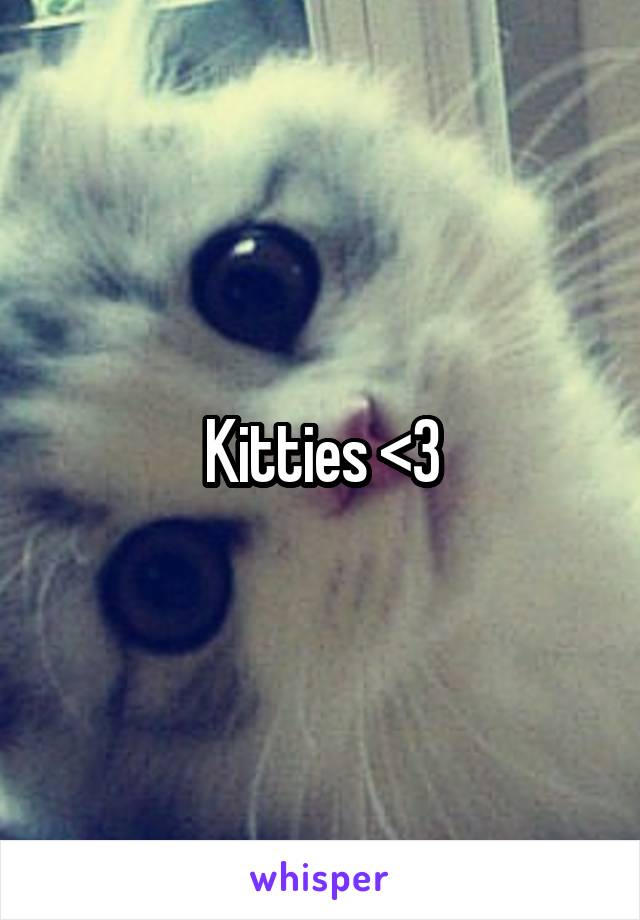 Kitties <3