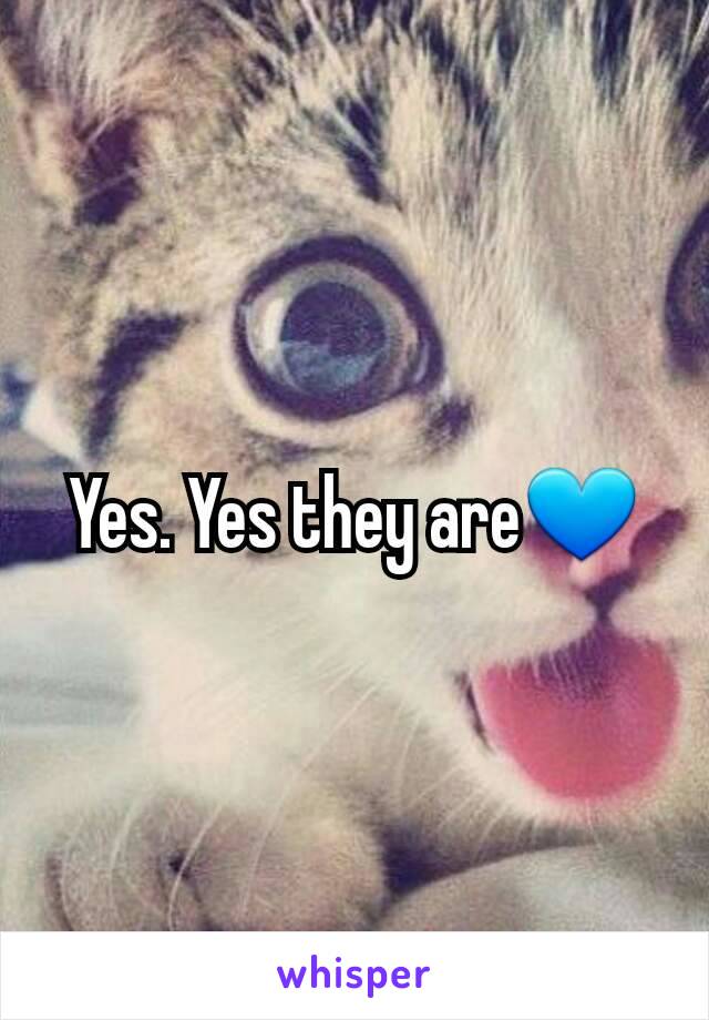 Yes. Yes they are💙