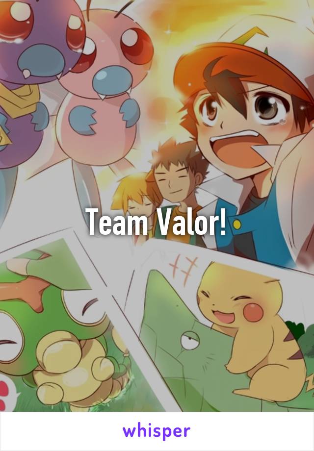 Team Valor!