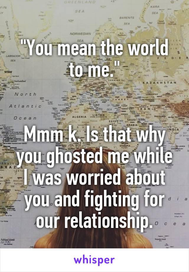 "You mean the world to me."


Mmm k. Is that why you ghosted me while I was worried about you and fighting for our relationship.