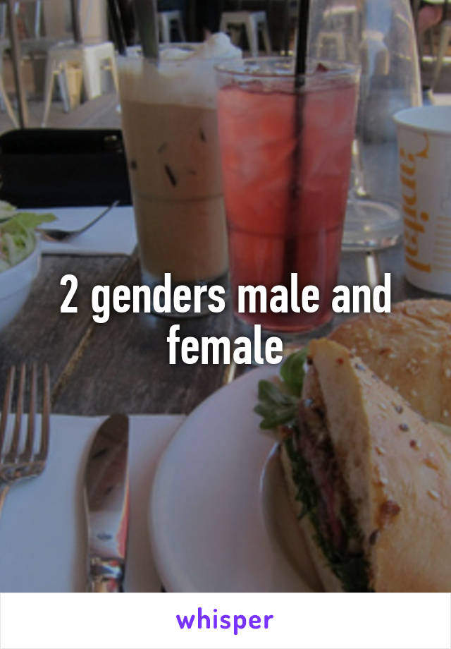 2 genders male and female