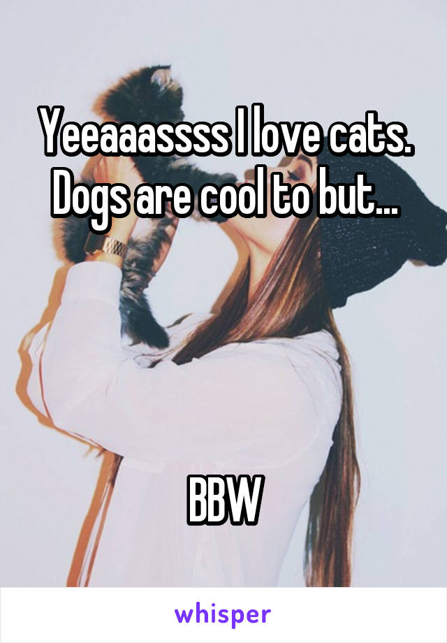 Yeeaaassss I love cats. Dogs are cool to but...




BBW