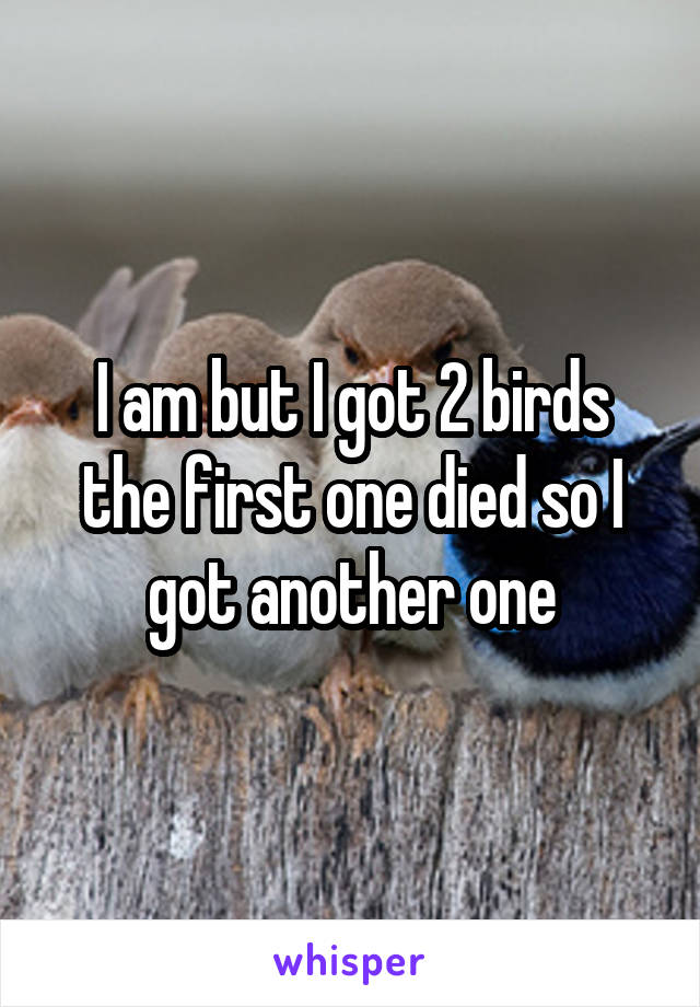 I am but I got 2 birds the first one died so I got another one