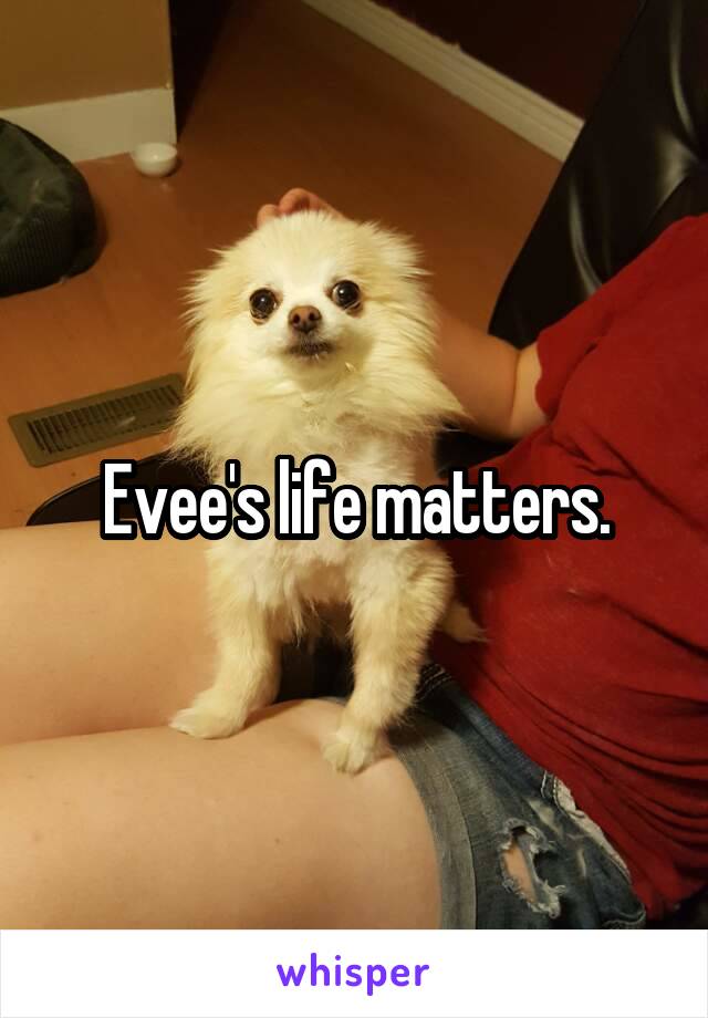 Evee's life matters.