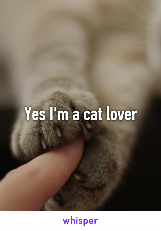 Yes I'm a cat lover