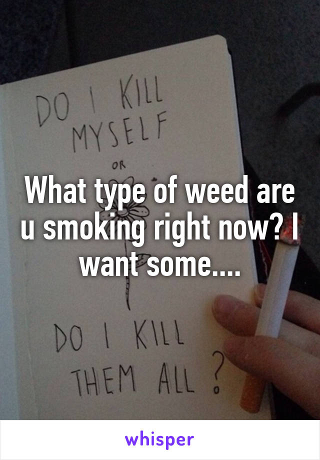 What type of weed are u smoking right now? I want some....