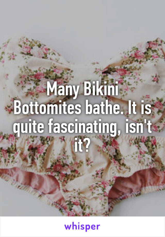 Many Bikini Bottomites bathe. It is quite fascinating, isn't it?