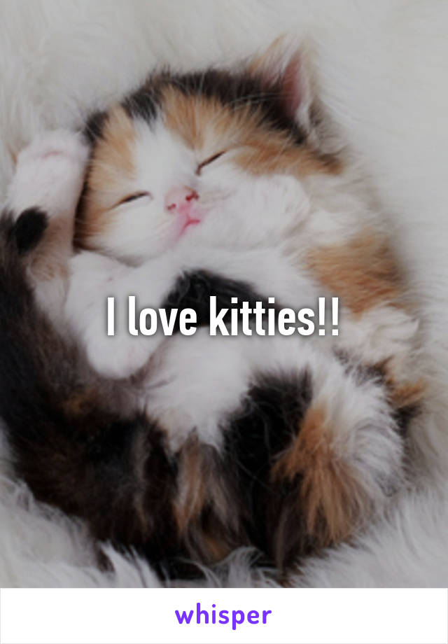 I love kitties!!