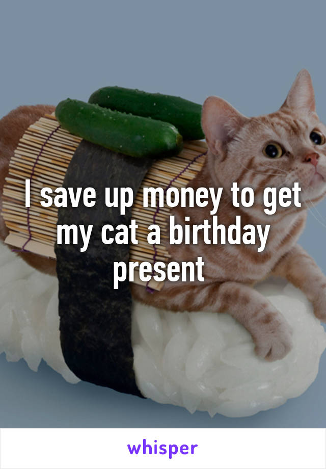 I save up money to get my cat a birthday present 