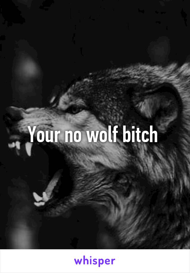 Your no wolf bitch 