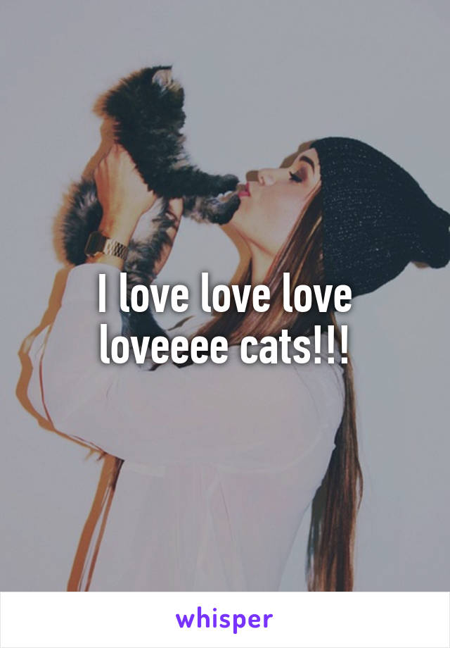 I love love love loveeee cats!!!