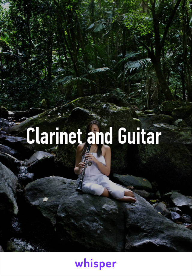 Clarinet and Guitar 