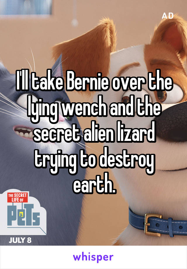 I'll take Bernie over the lying wench and the secret alien lizard trying to destroy earth.
