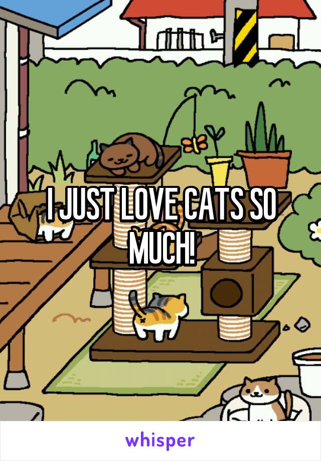 I JUST LOVE CATS SO MUCH!