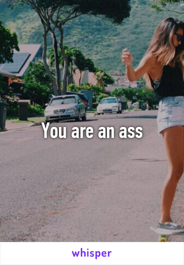You are an ass