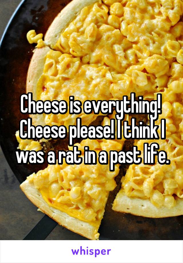 Cheese is everything! 
Cheese please! I think I was a rat in a past life.