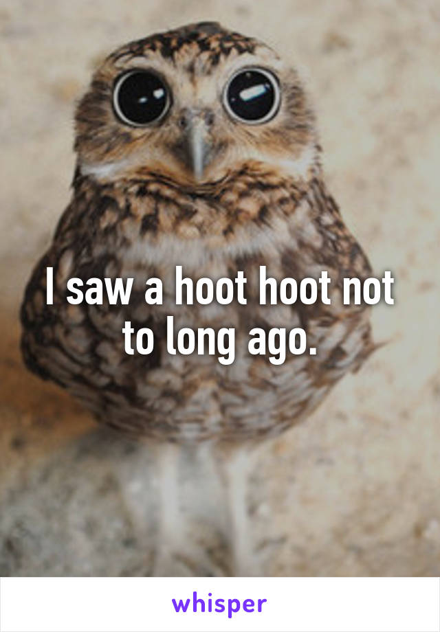 I saw a hoot hoot not to long ago.