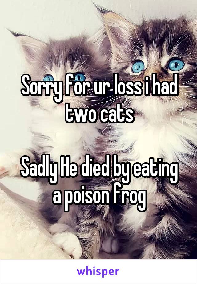 Sorry for ur loss i had two cats

Sadly He died by eating a poison frog