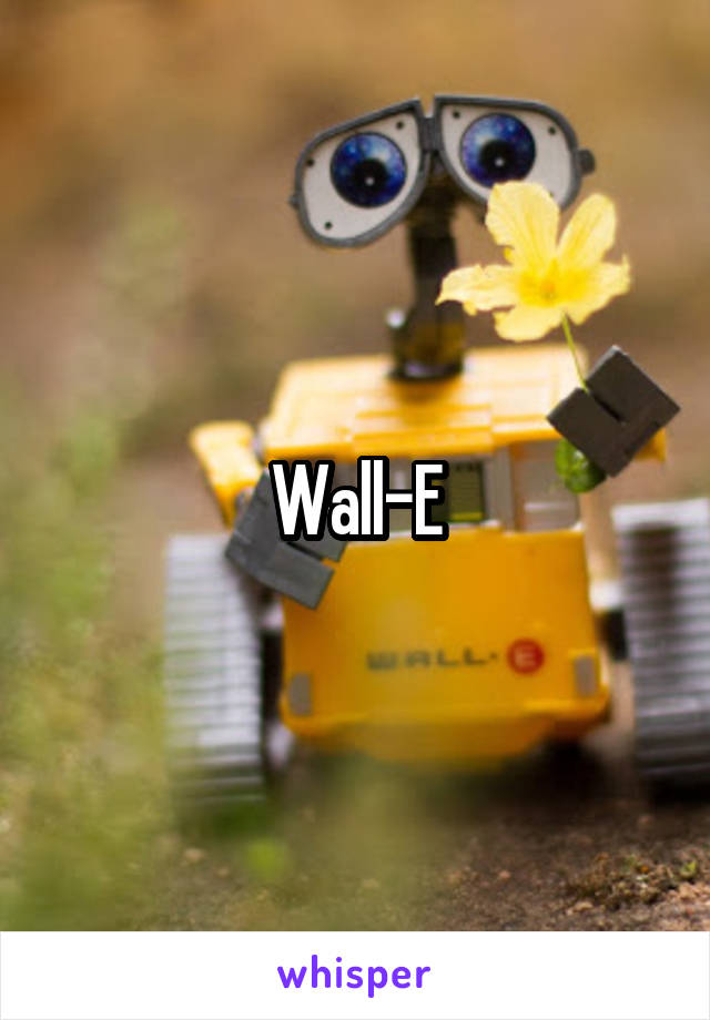 Wall-E