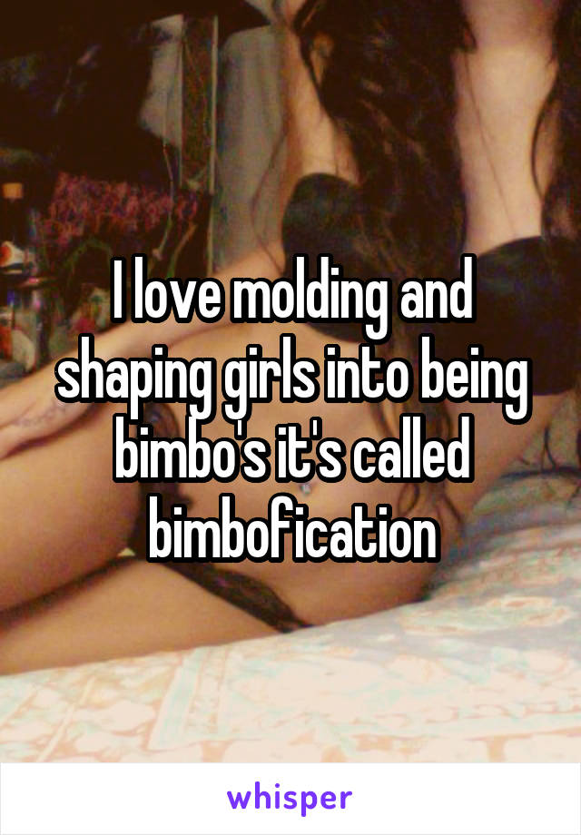 I love molding and shaping girls into being bimbo's it's called bimbofication