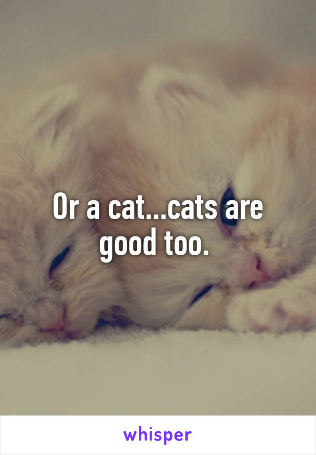 Or a cat...cats are good too. 