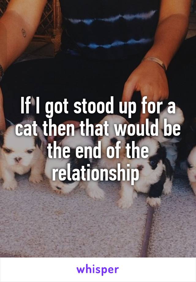 If I got stood up for a cat then that would be the end of the relationship 