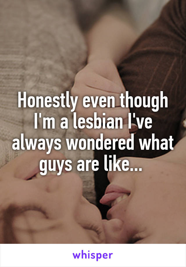 Honestly even though I'm a lesbian I've always wondered what guys are like... 