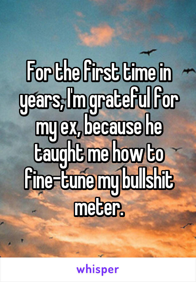 For the first time in years, I'm grateful for my ex, because he taught me how to fine-tune my bullshit meter.