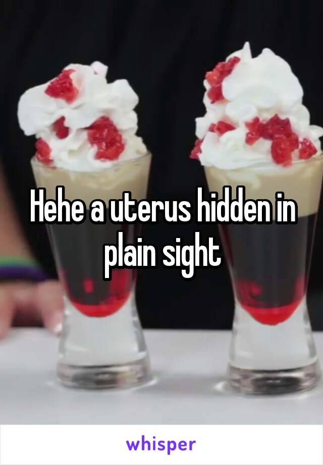 Hehe a uterus hidden in plain sight