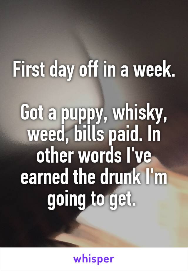 First day off in a week. 
Got a puppy, whisky, weed, bills paid. In other words I've earned the drunk I'm going to get. 