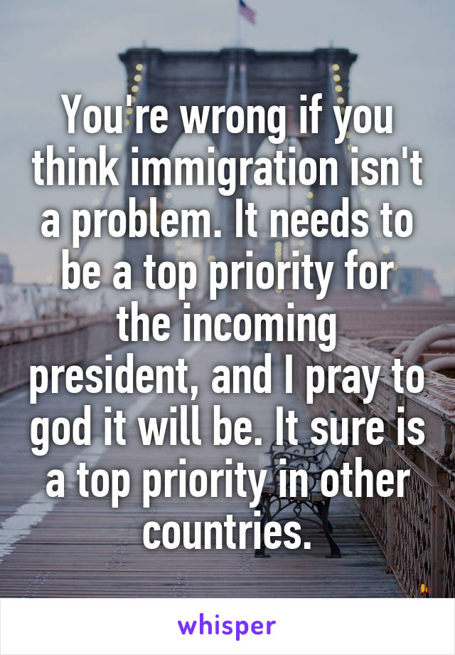 You're wrong if you think immigration isn't a problem. It needs to be a top priority for the incoming president, and I pray to god it will be. It sure is a top priority in other countries.