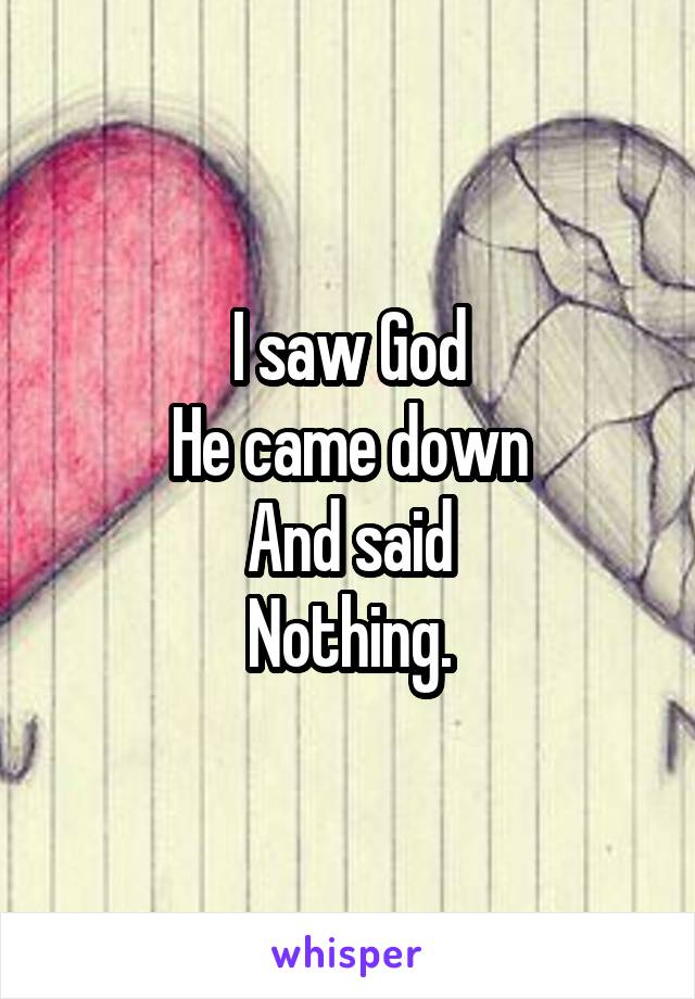 I saw God
He came down
And said
Nothing.