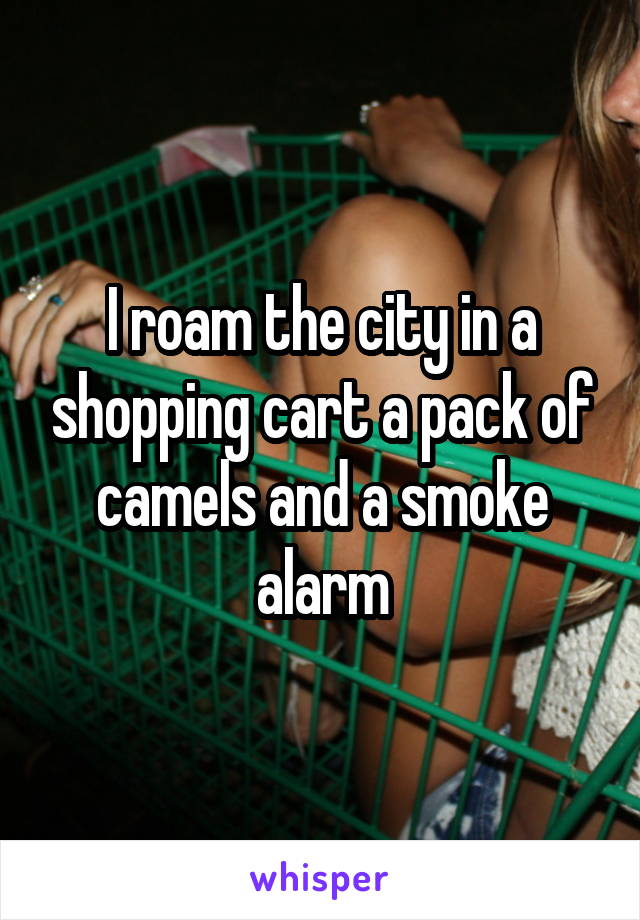 I roam the city in a shopping cart a pack of camels and a smoke alarm