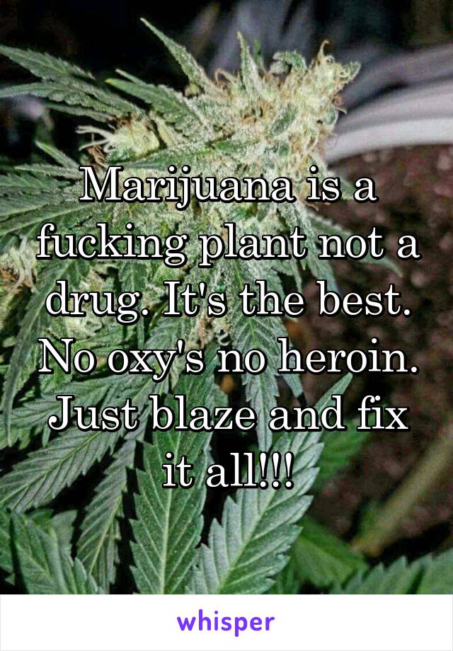 Marijuana is a fucking plant not a drug. It's the best. No oxy's no heroin. Just blaze and fix it all!!!