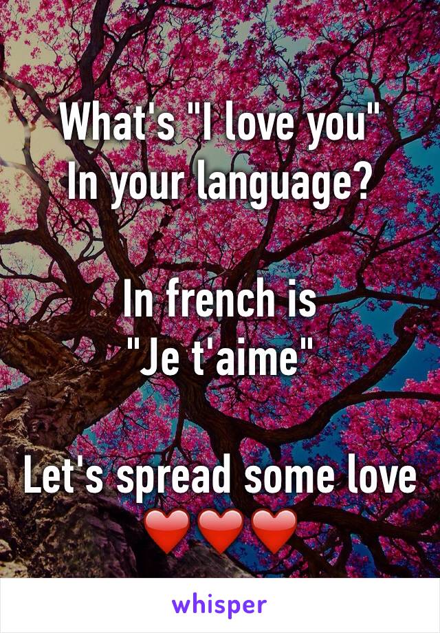 What's "I love you"
In your language?

In french is
"Je t'aime"

Let's spread some love
❤️❤️❤️