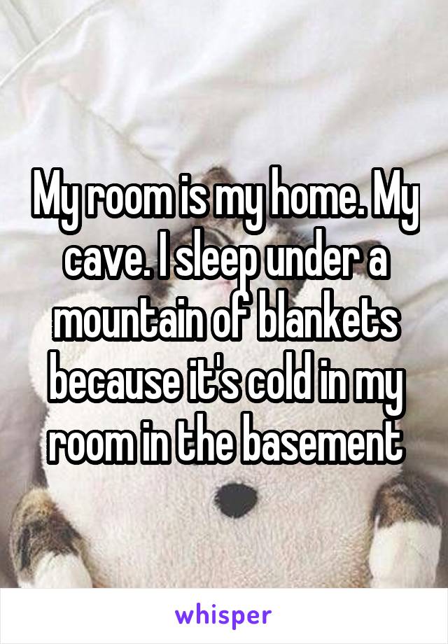 My room is my home. My cave. I sleep under a mountain of blankets because it's cold in my room in the basement